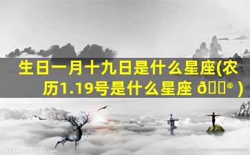 生日一月十九日是什么星座(农历1.19号是什么星座 💮 )